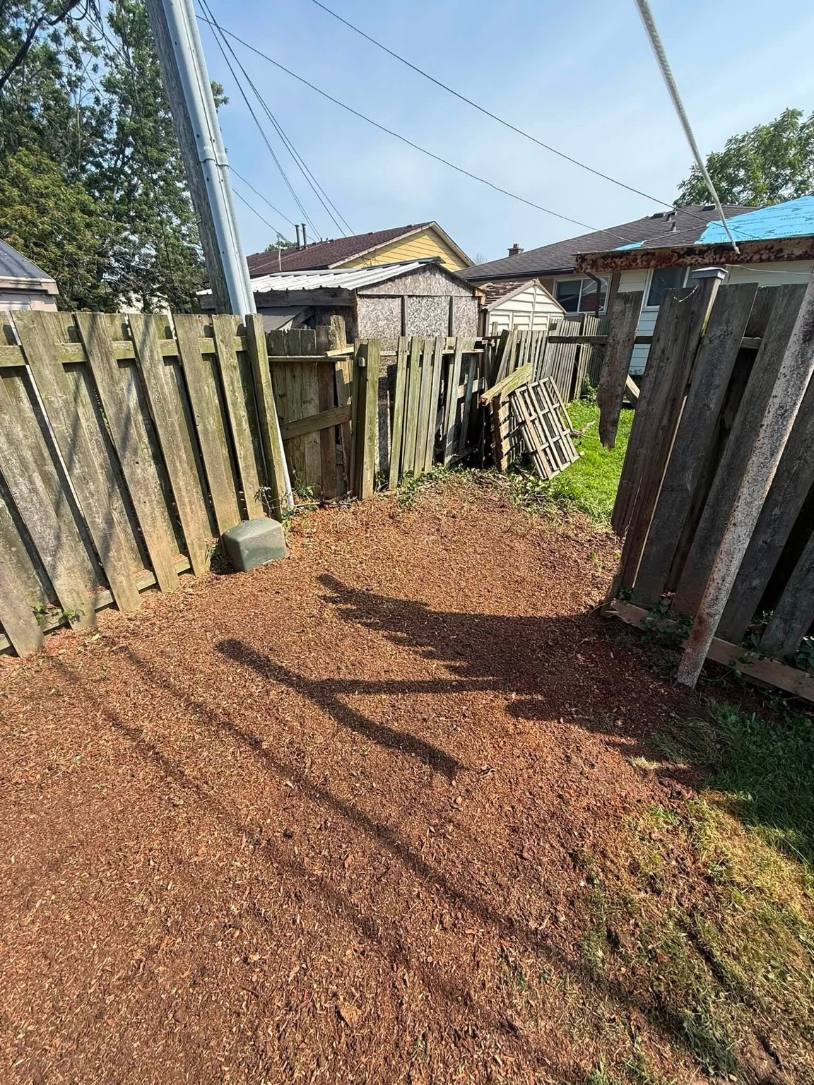 Backyard after stump grinding